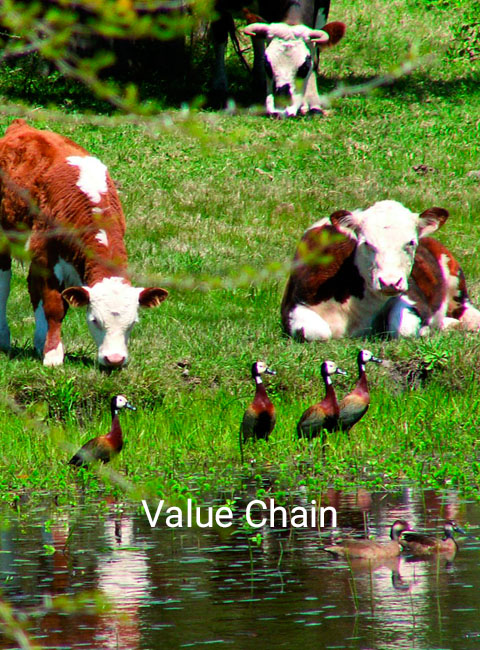 AGRIBUSINESS1