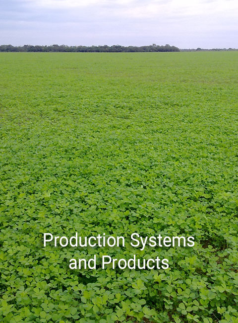 AGRIBUSINESS2