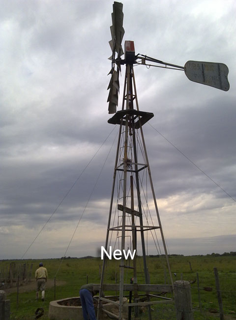AGRIBUSINESS3