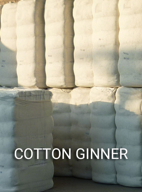 COTTON GINNER