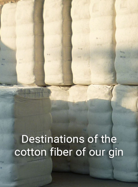 COTTON GINNER2