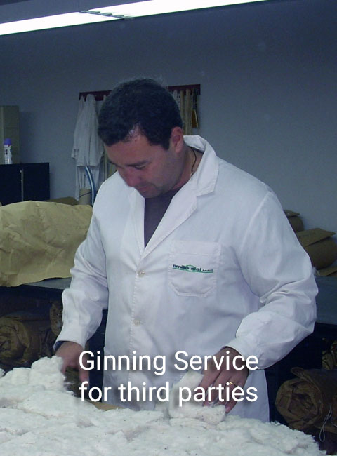 COTTON GINNER3