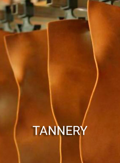 TANNERY
