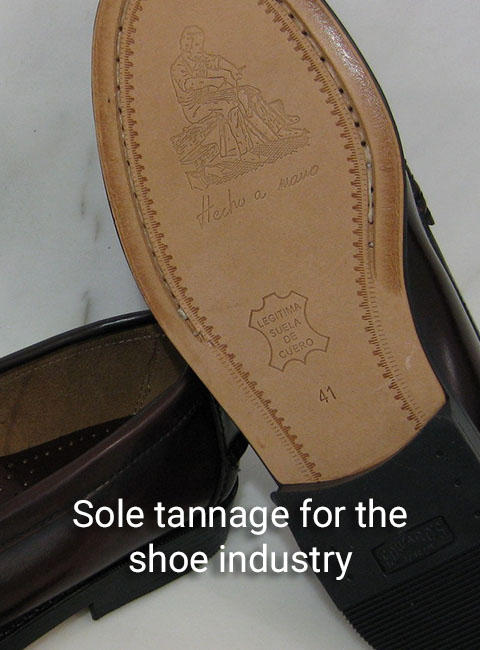 TANNERY1
